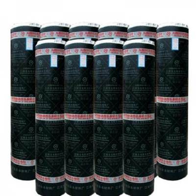 山西廠家直銷(xiāo)sbs防水卷材,低價(jià)更保質(zhì)量就是圣龍-濟(jì)南功能材料