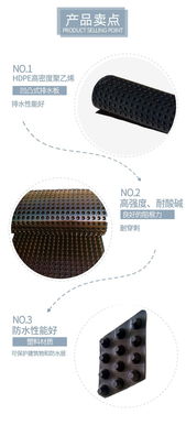 直銷車庫(kù)塑料排水板 凹凸排水板價(jià)格 加工定制規(guī)格齊全